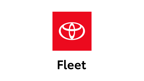 Toyota Motor Sales